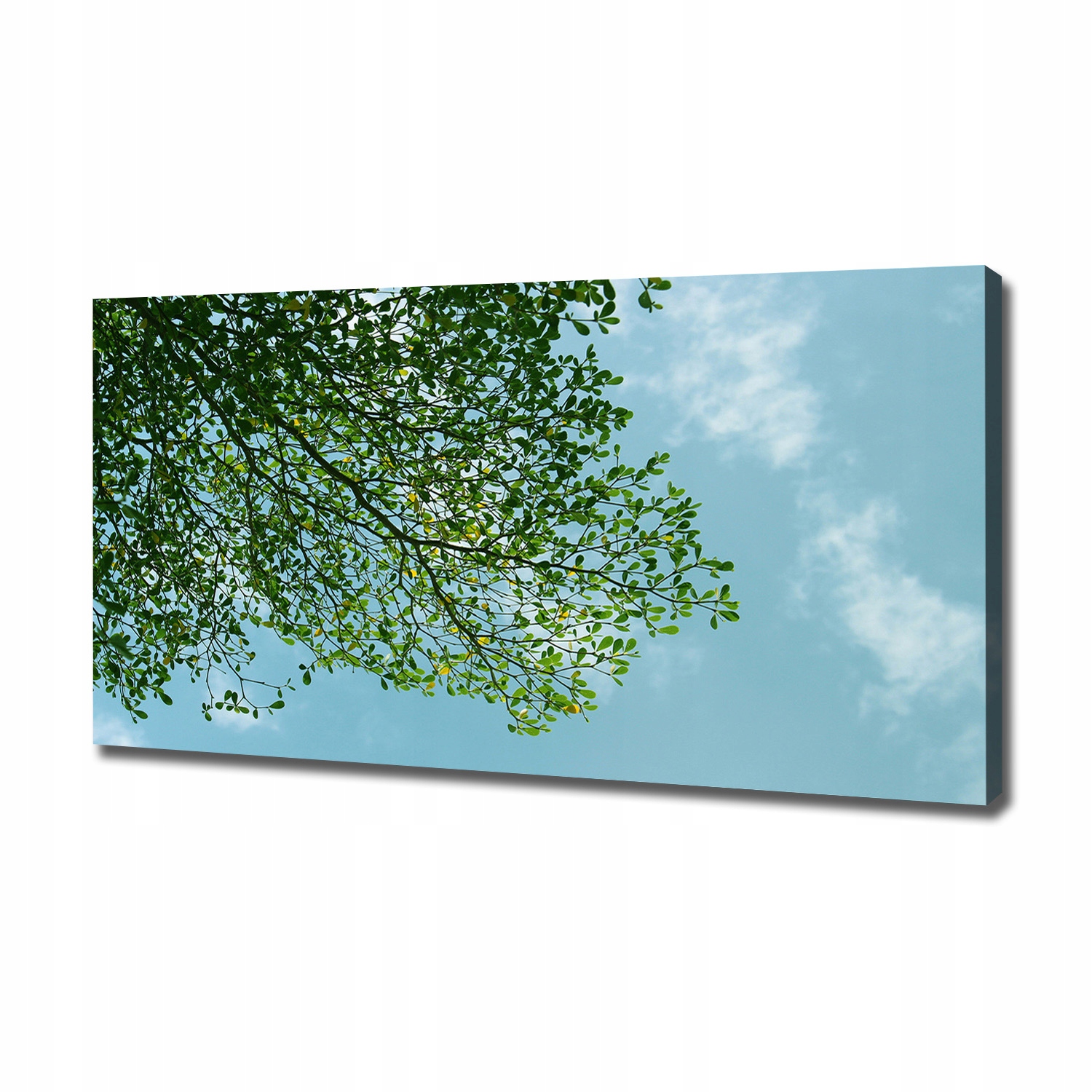 

Foto obraz na płótnie Liście na niebie 120x60 cm