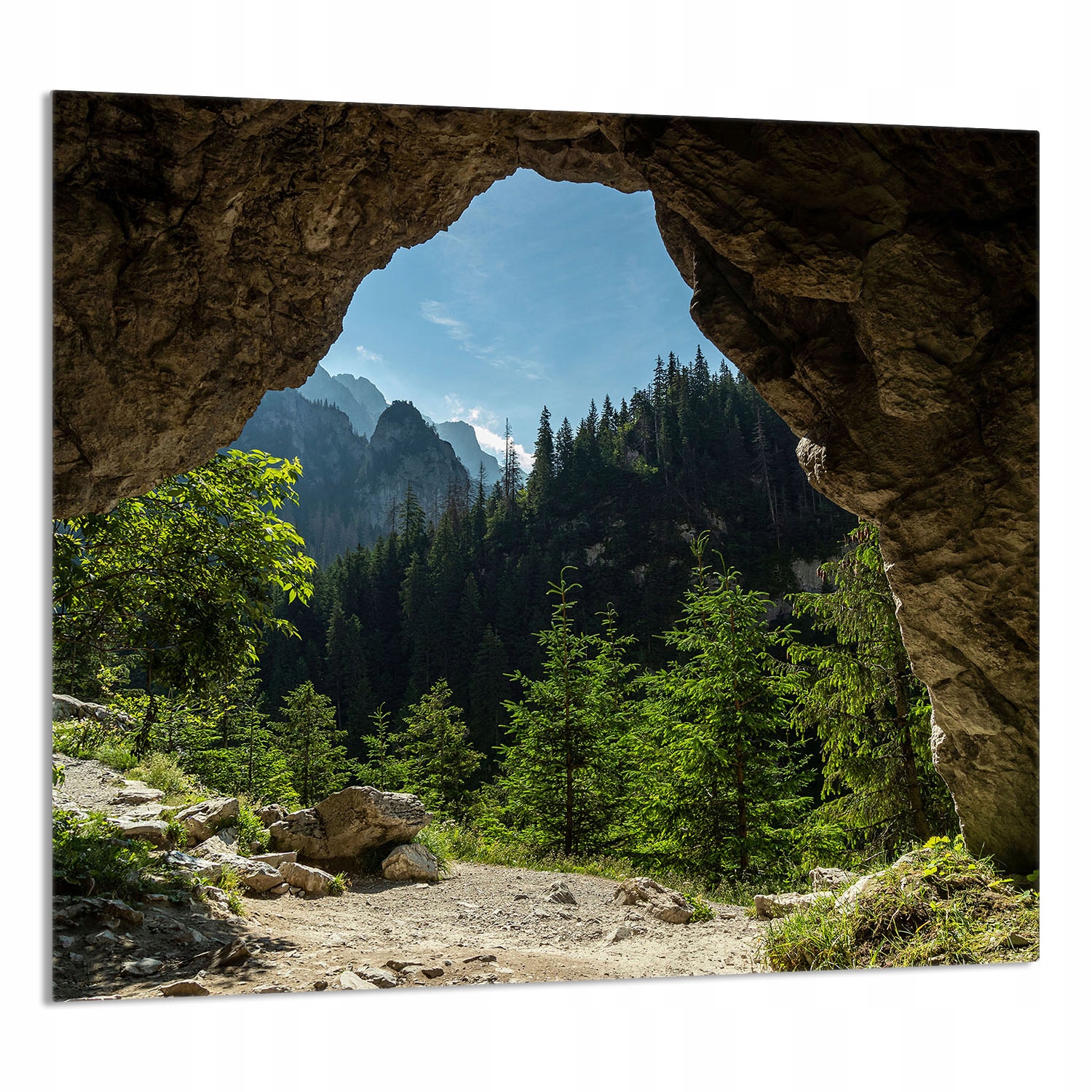 Skleněný Panel Do Kuchyně 65x60 Stromy Tvrzené Sklo