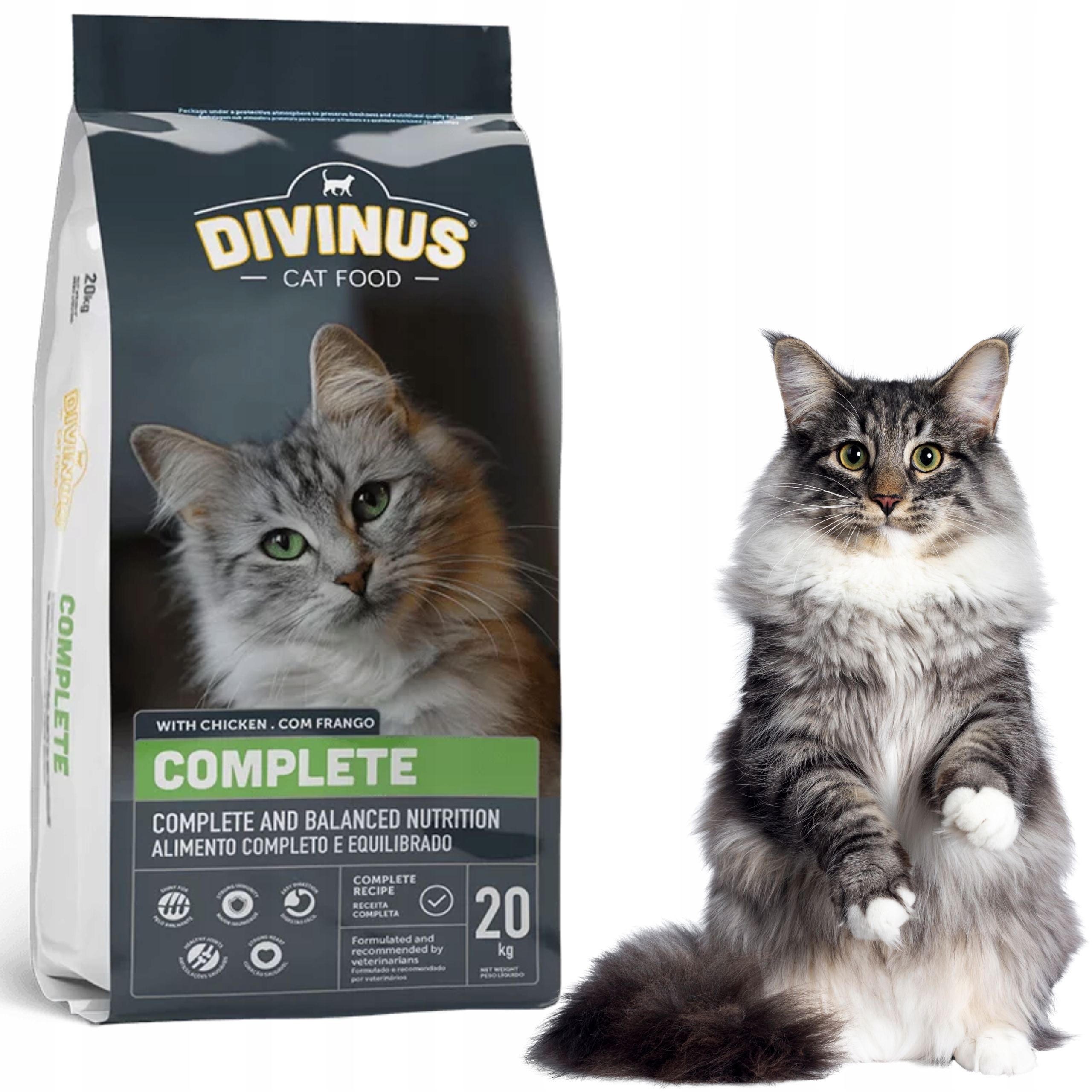 Sucha karma dla kota Divinus Cat Complete 20kg