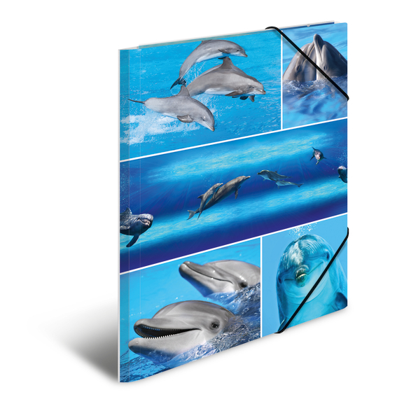 Teczka tekturowa A4 z gumkami, Delfiny