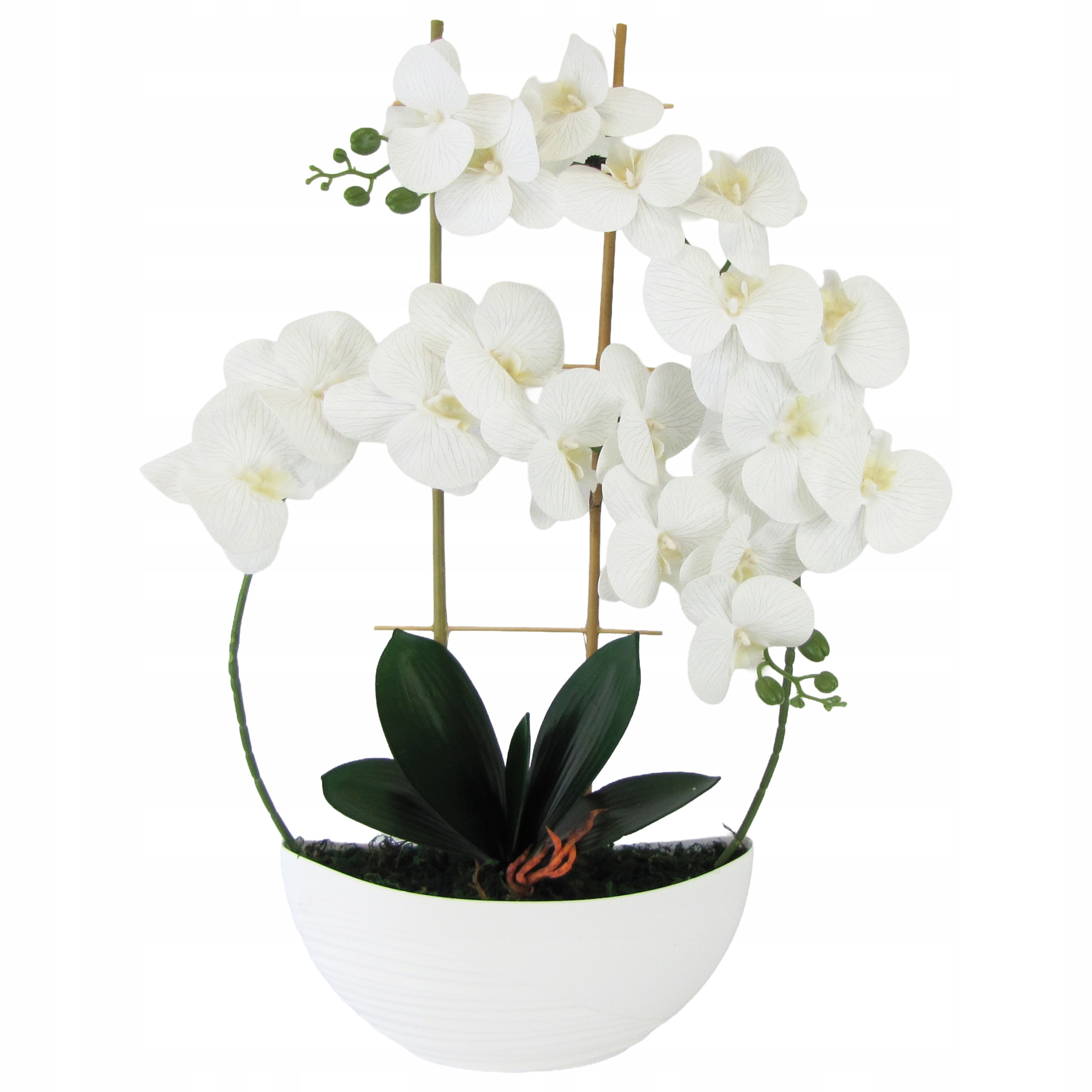 Orchidej Real Touch 60 cm, gumovaná v květináči Luna 2