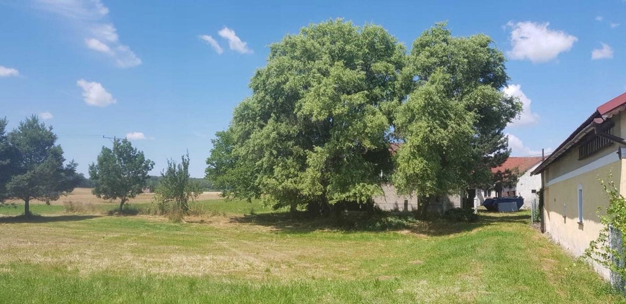 Dom, Paczyna, Toszek, Gliwicki, 200 m²
