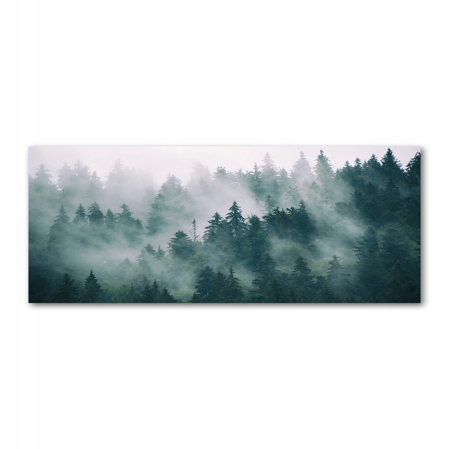 

Foto obraz akryl zdjęcie Mgła nad lasem 125x50 cm