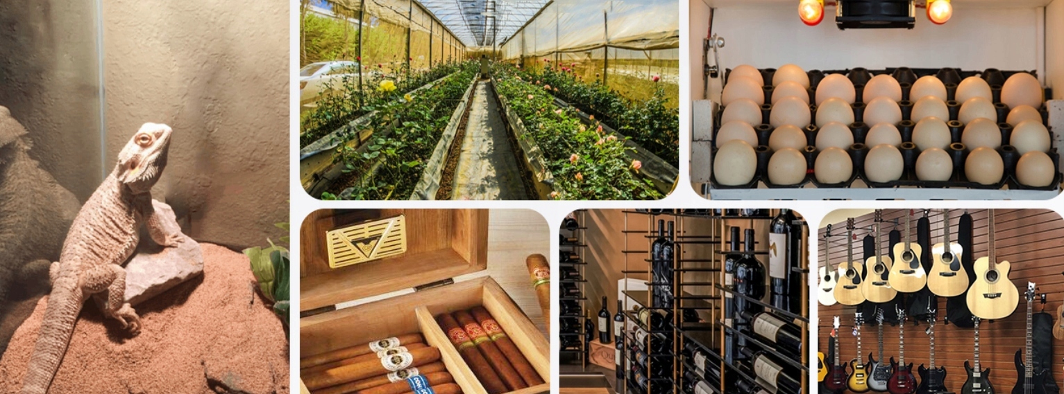 Sonoff Czujnik temperatury i wilgotności z wyświetlaczem LCD Zigbee eWeLink Komunikacja ZigBee