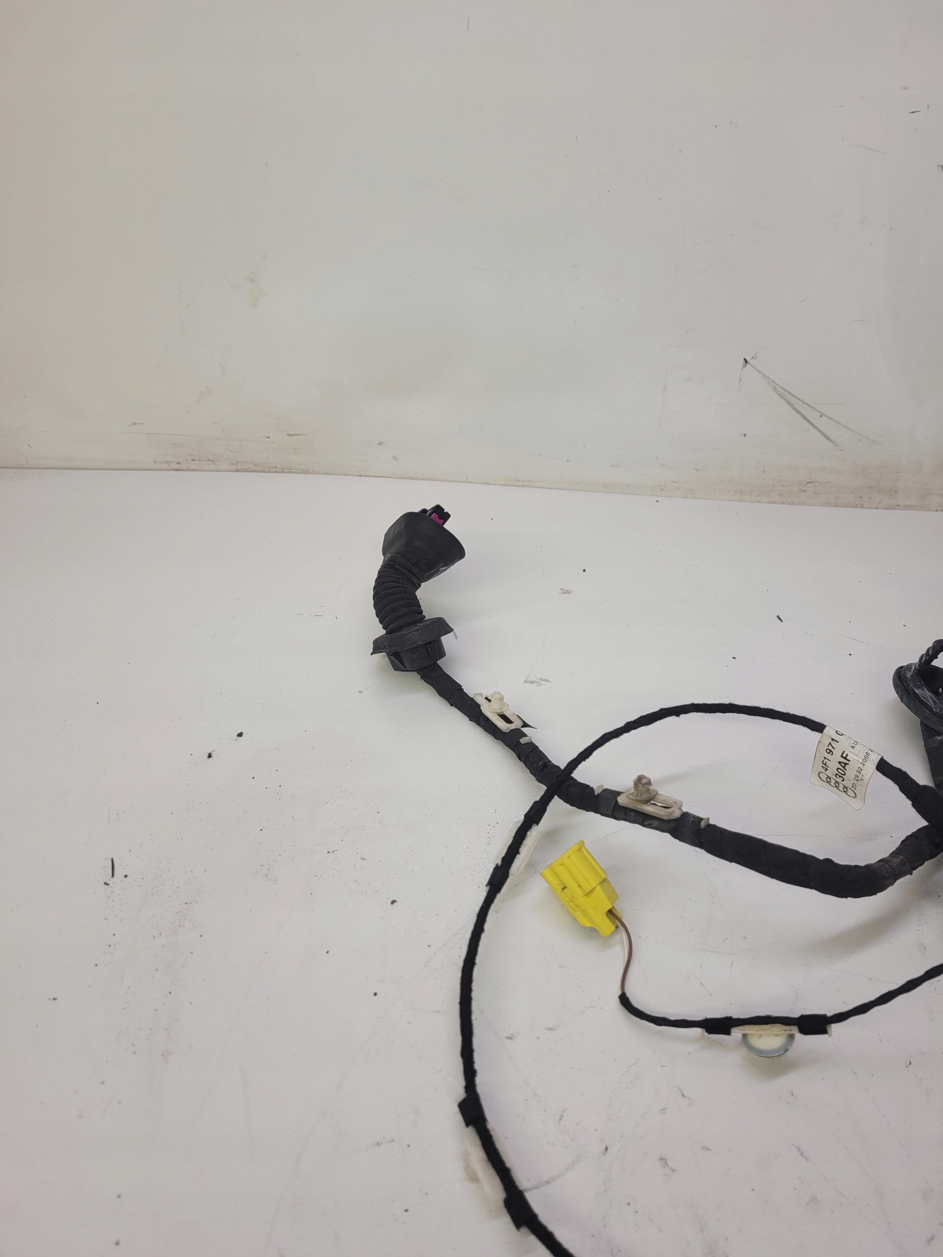 bundle door right front AUDI A6 C6 4F1971030AF