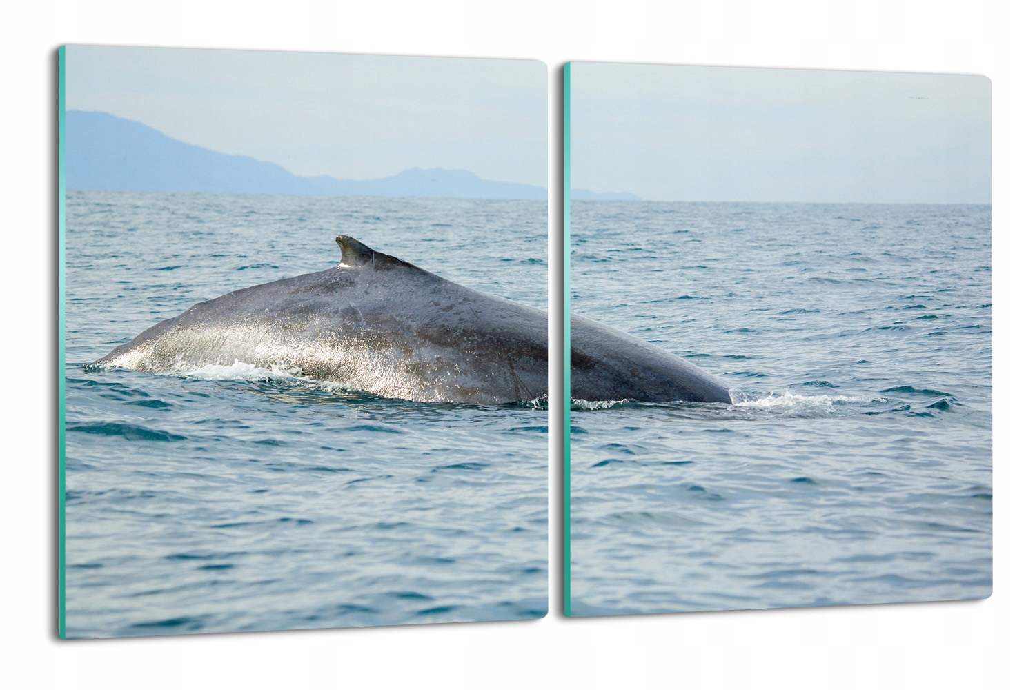 skleněná kuchyňská krytka 2x 40x52 Ocean velryba
