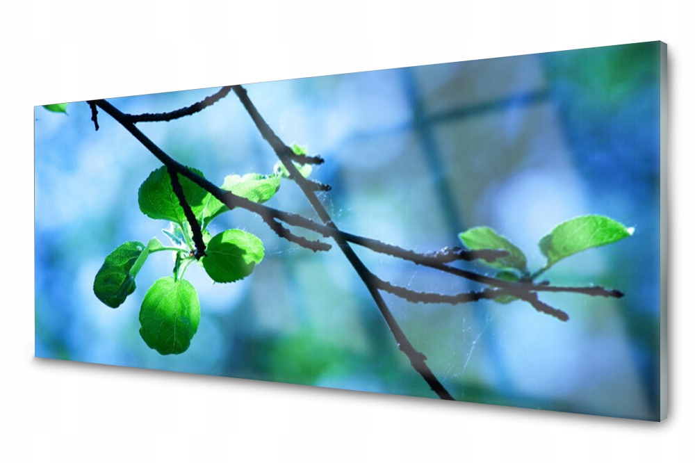 

Panel szklany do kuchni Gałąź Liście 125x50