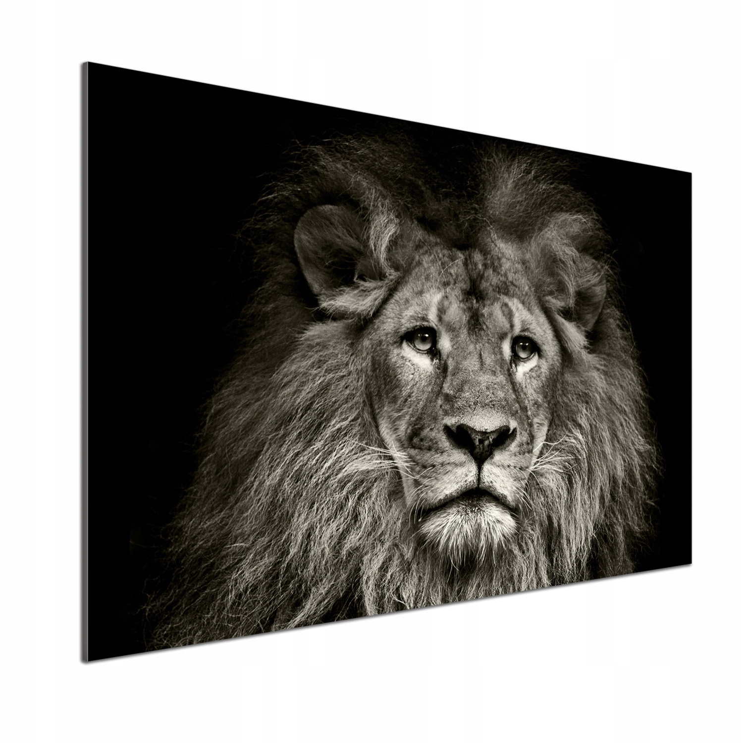 Panel tvrzené sklo do kuchyně Lev 100x70 Lepidlo