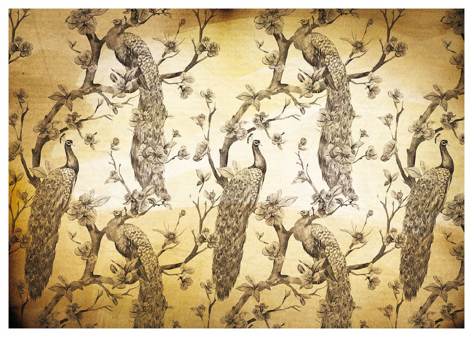 Vliesová fototapeta Pávi Béžová šedá květiny vintage 350x250 lepidlo