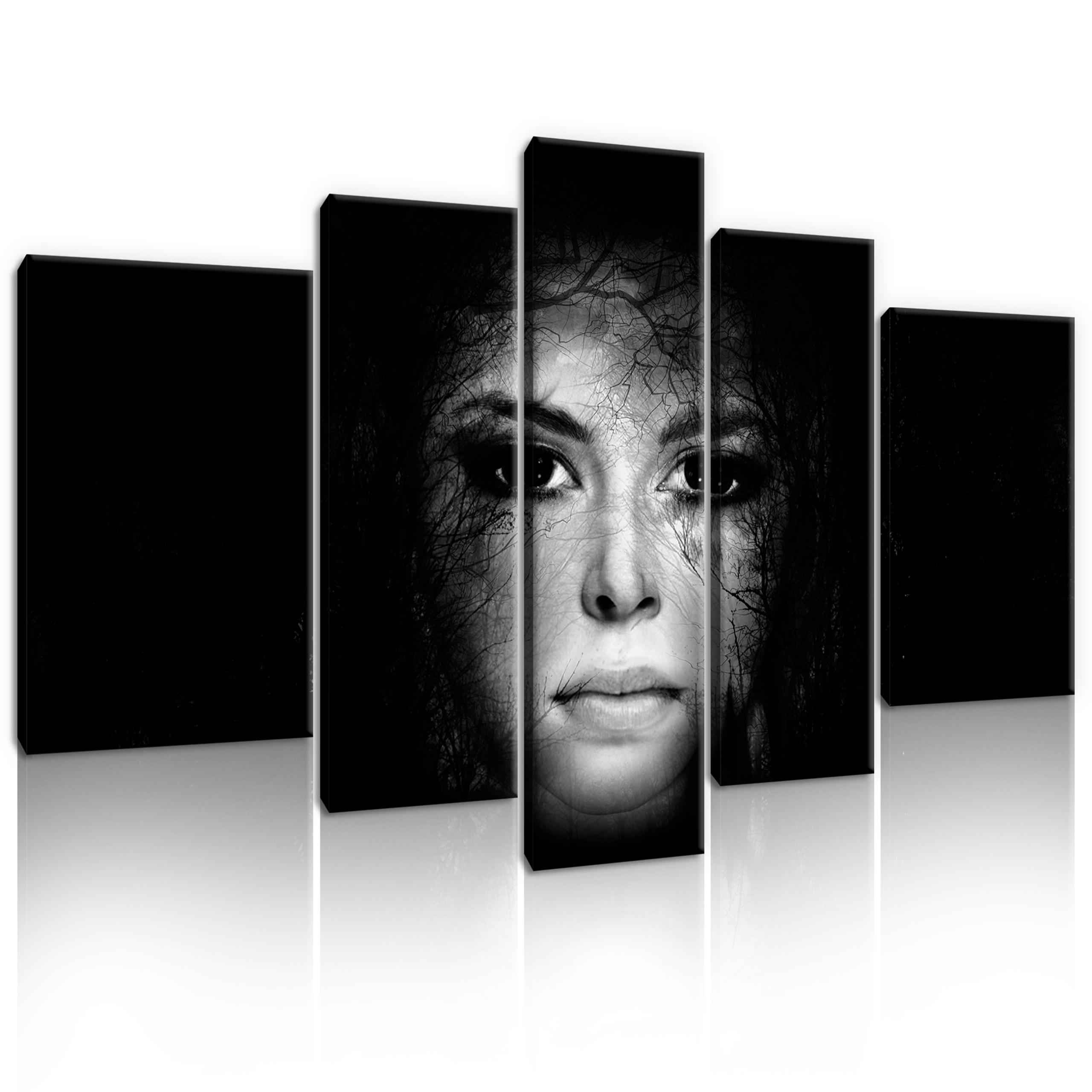 Obraz 5 Částí Tvář Ženy Černá Na Plátně Stěna Ložnice 170x100