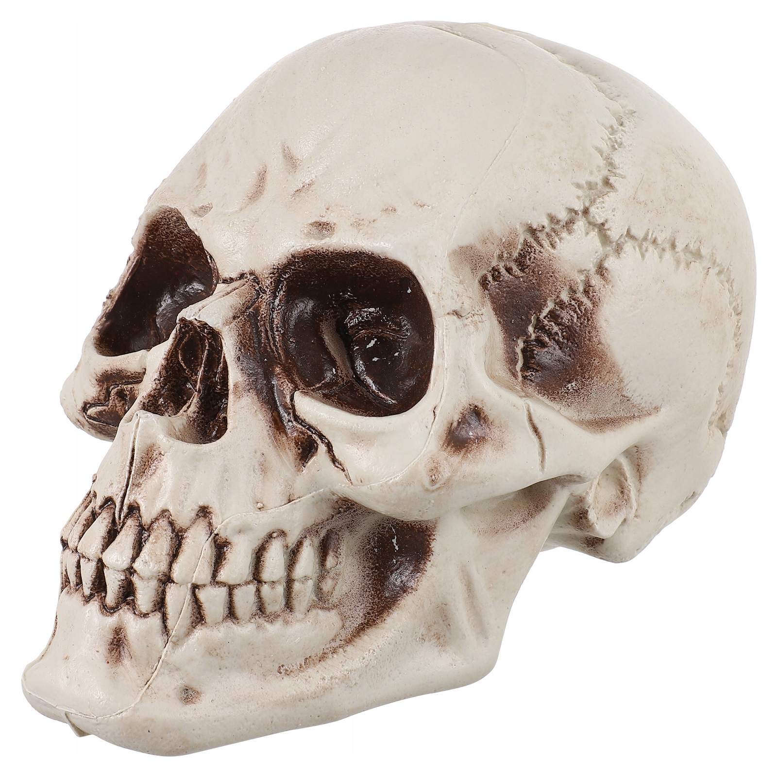 MODELE PREZENTOWE DEKORACJE STOŁU MANEKINA Liczba elementów w zestawie 0 szt.