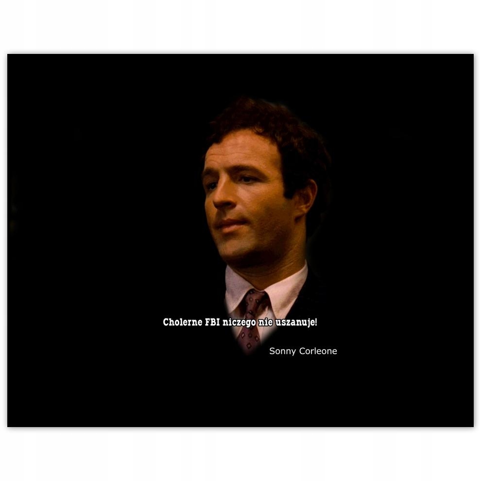 

Plakat 50x40 Godfather Sonny Cytaty