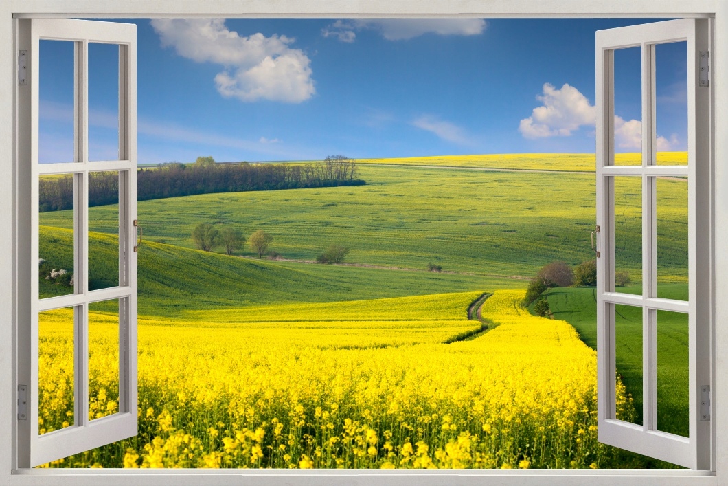 

Obraz na płotnie okno pole wieś kwiaty 100x70