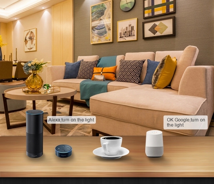 Przekaźnik WiFi TUYA z Alexa 2-kanałowy SMART HOME Seria QS-WIFI-S07