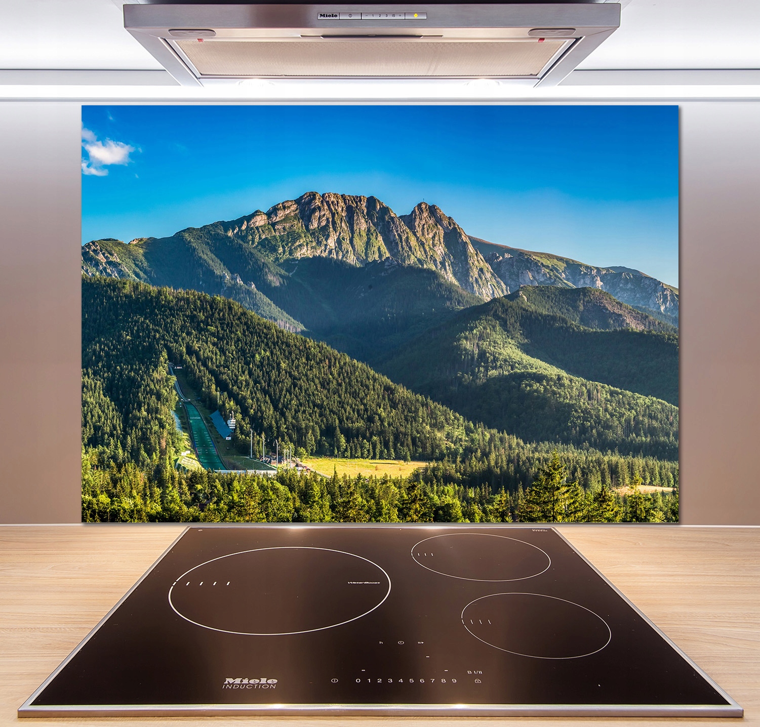 

Panel do kuchni Panorama Tatr 100x70 cm + Klej