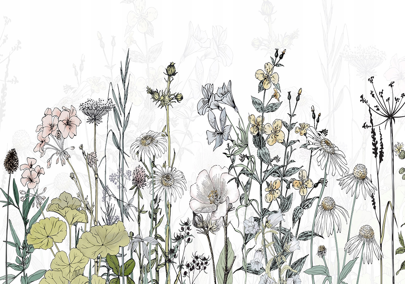 

Fototapeta Natura Kwiaty Łąka 350x256 b-A-0702-a-a