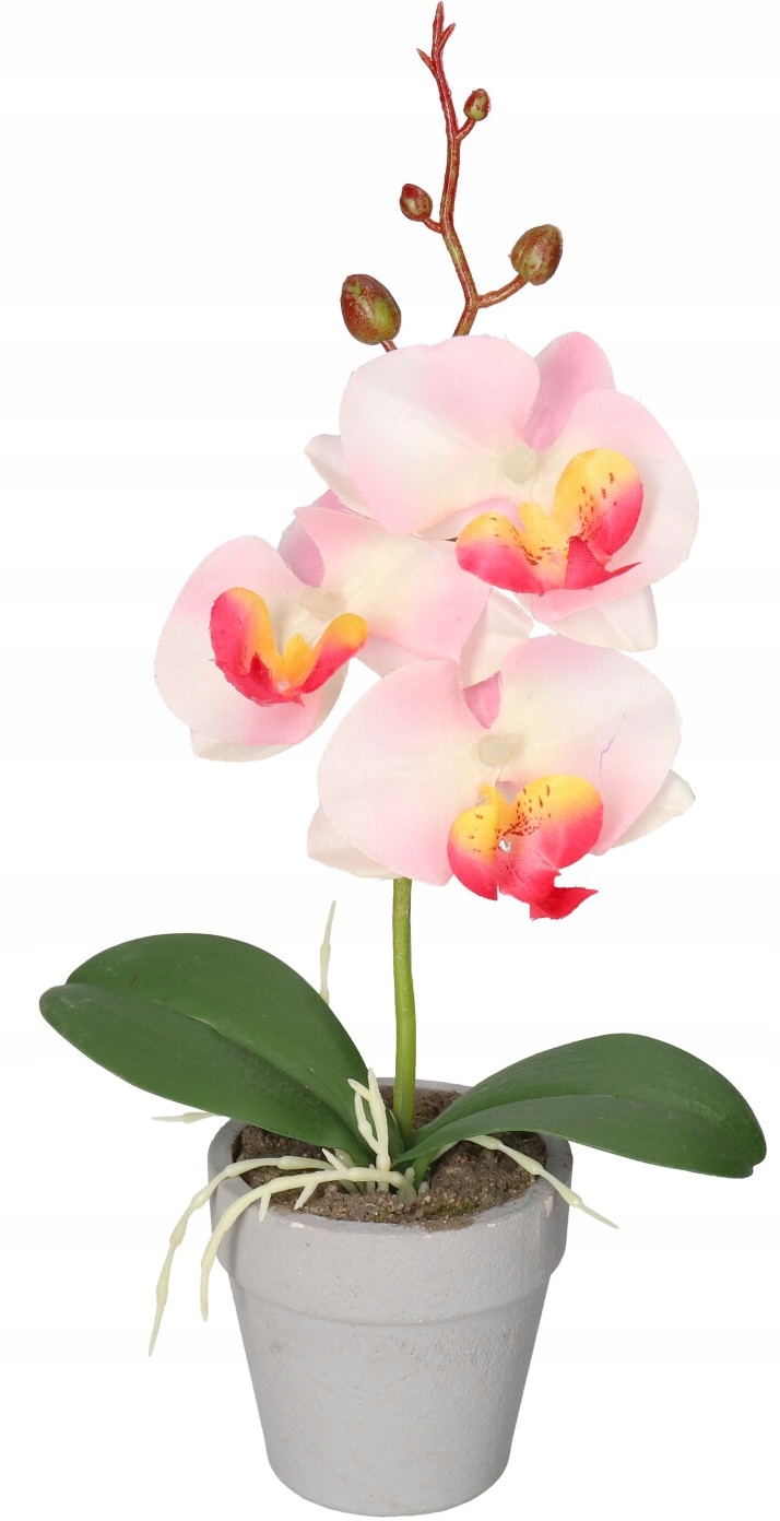 

Sztuczne Kwiaty W Doniczce Storczyk Orchidea