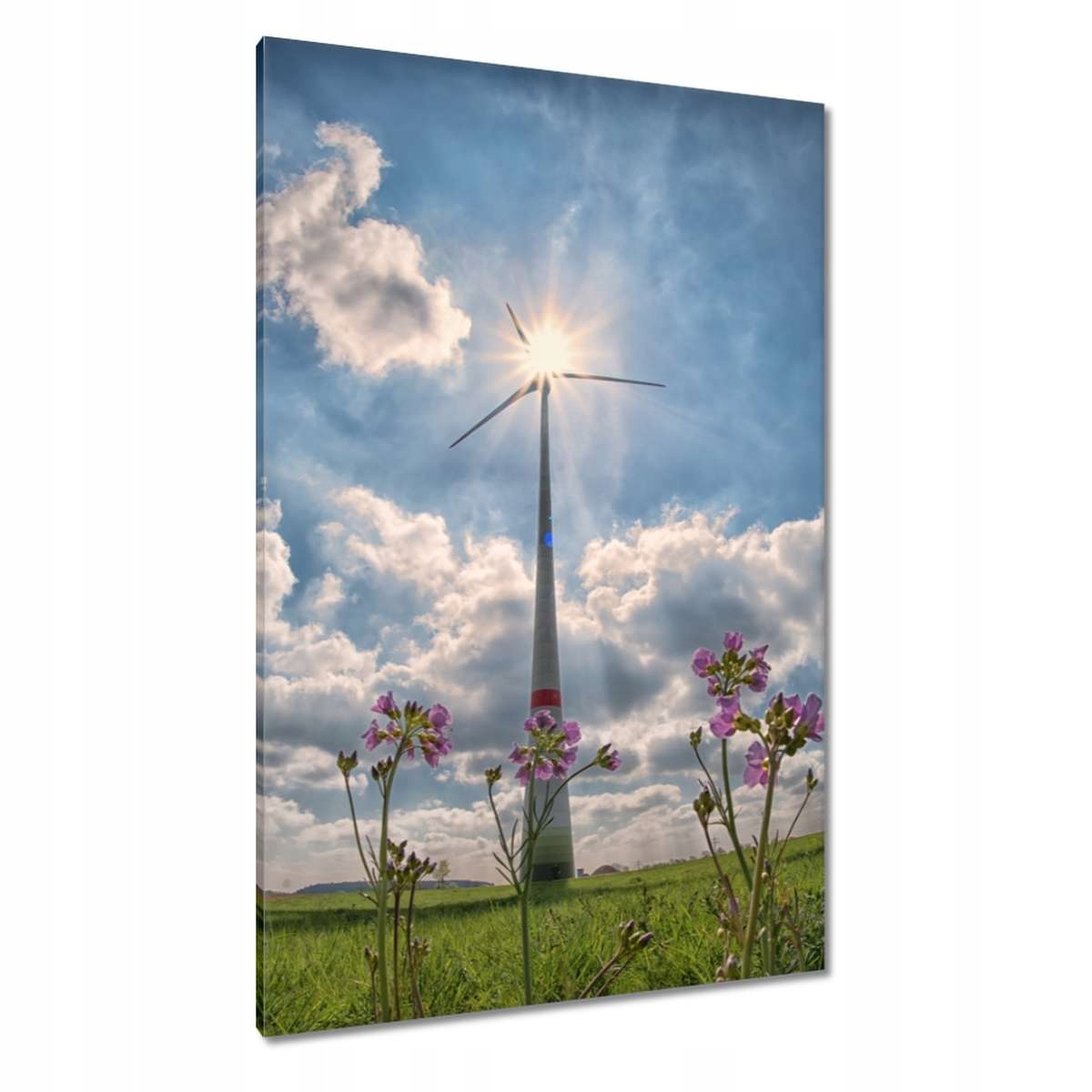 Obrazy 80x120 Obnovitelná energie Vítr