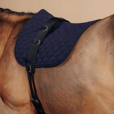 Pas do lonżowania dla konia i kuca Fs