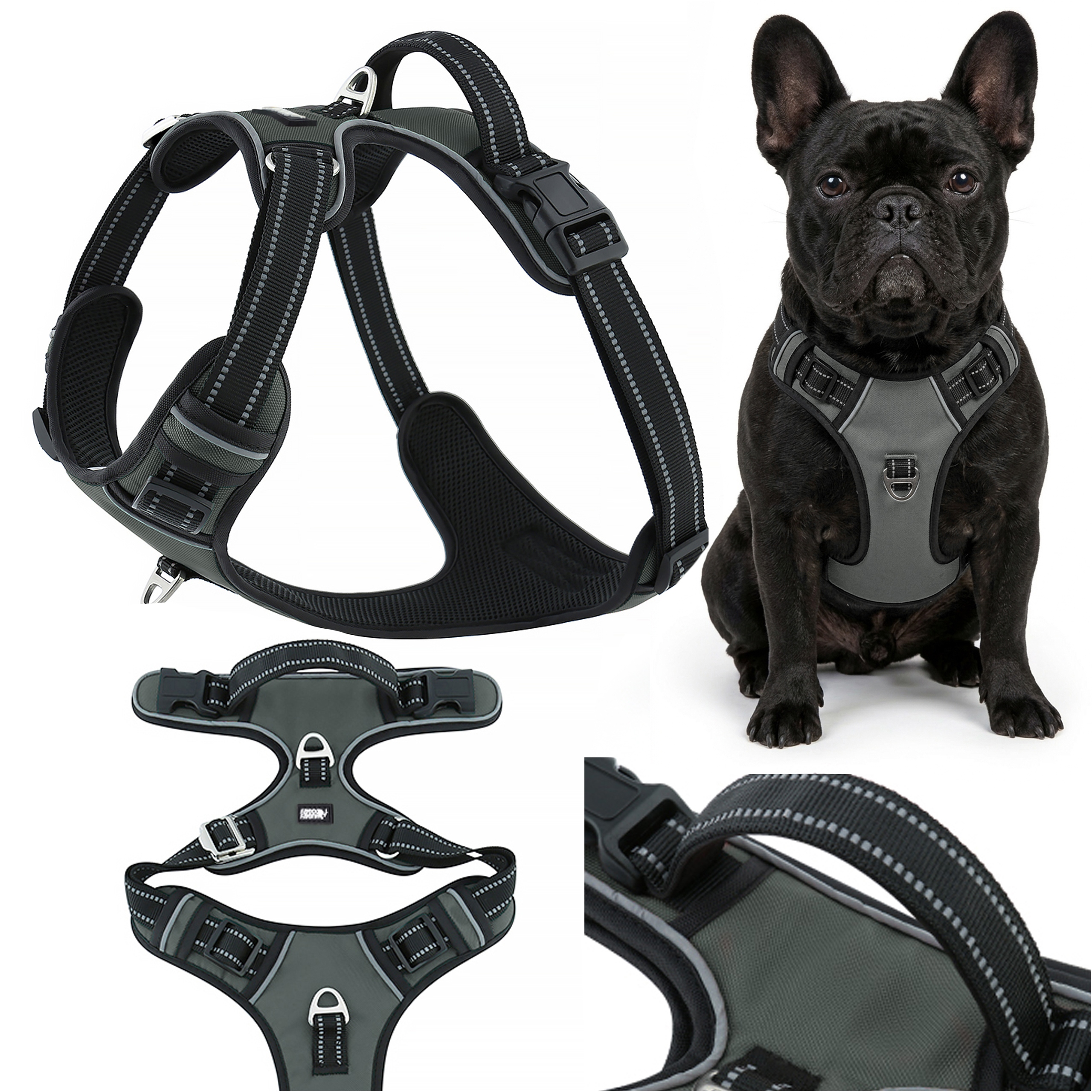 Szelki dla psa guard treningowe spacerowe Huggy Doggy beagla easy walk M