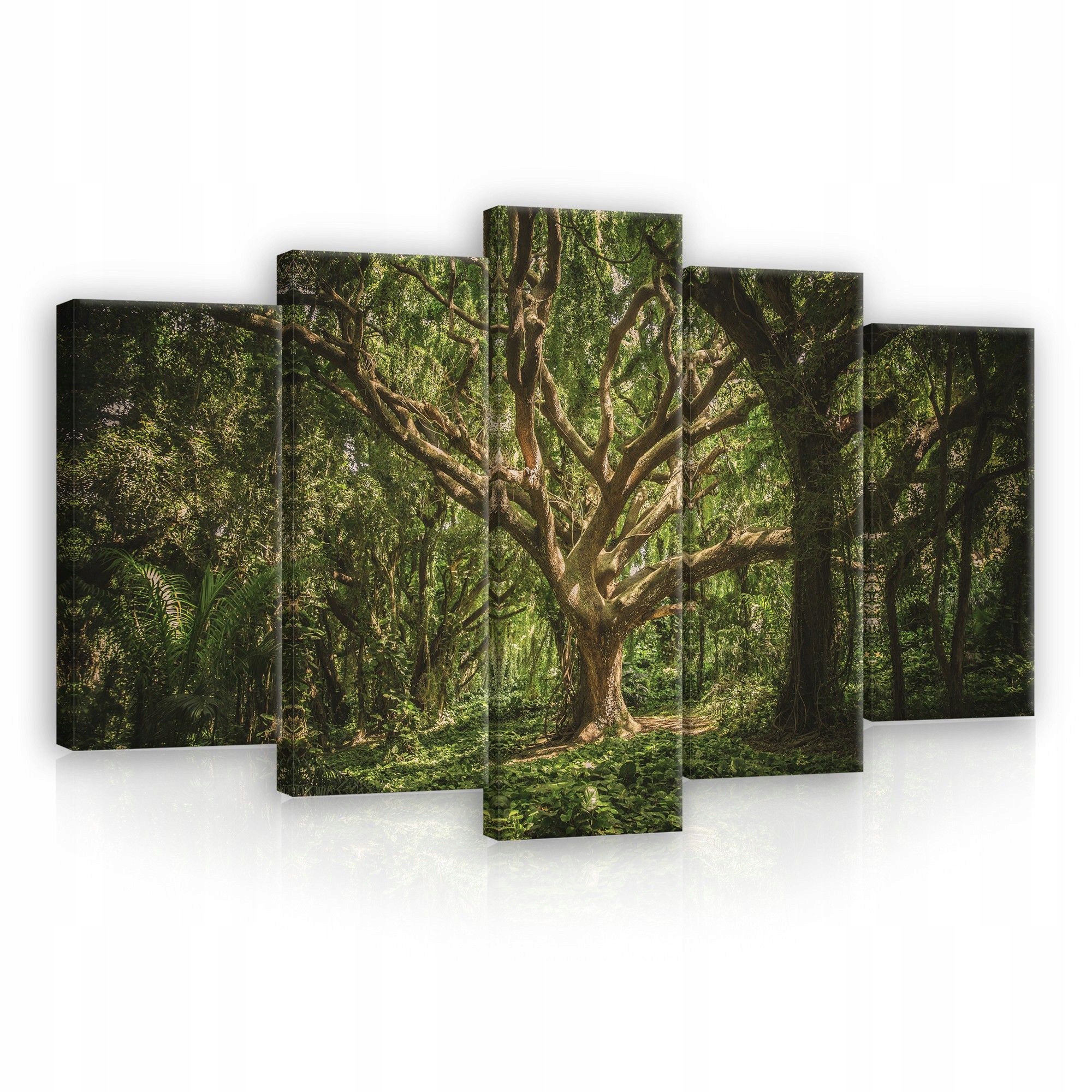 Obraz 100x60 Starý les majestátní zelený strom krajina hra světla a