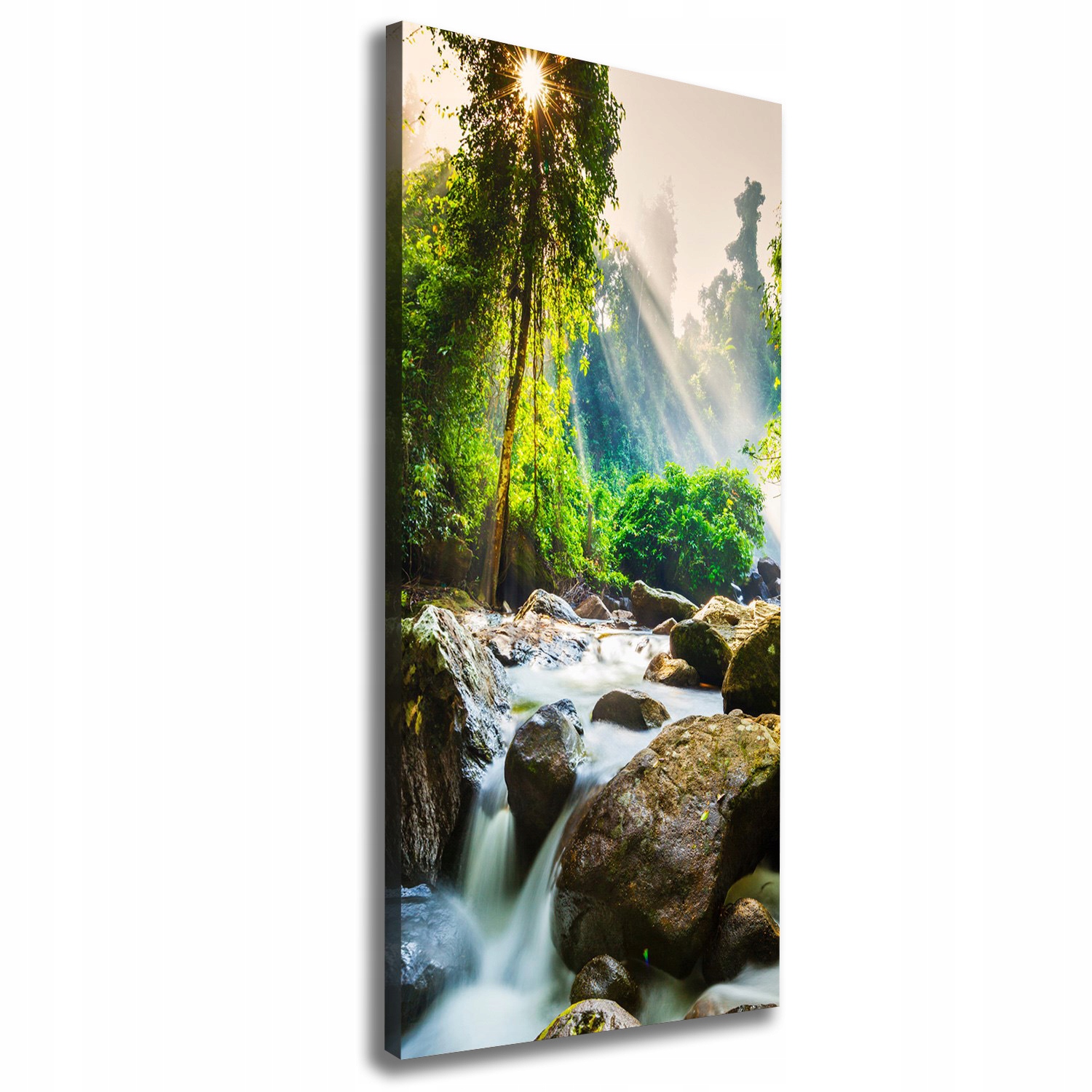 

Foto obraz na płótnie Wodospad w lesie 50x125 cm