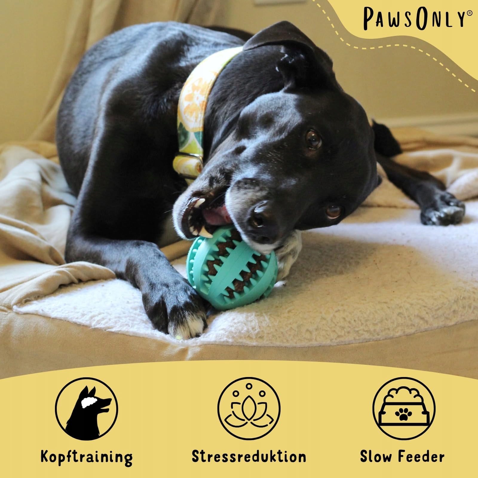 PAWSONLY Futterball Dla Psów Zabawka Na Przysmaki Z Naturkautschuku 8 cm — miniatura 2