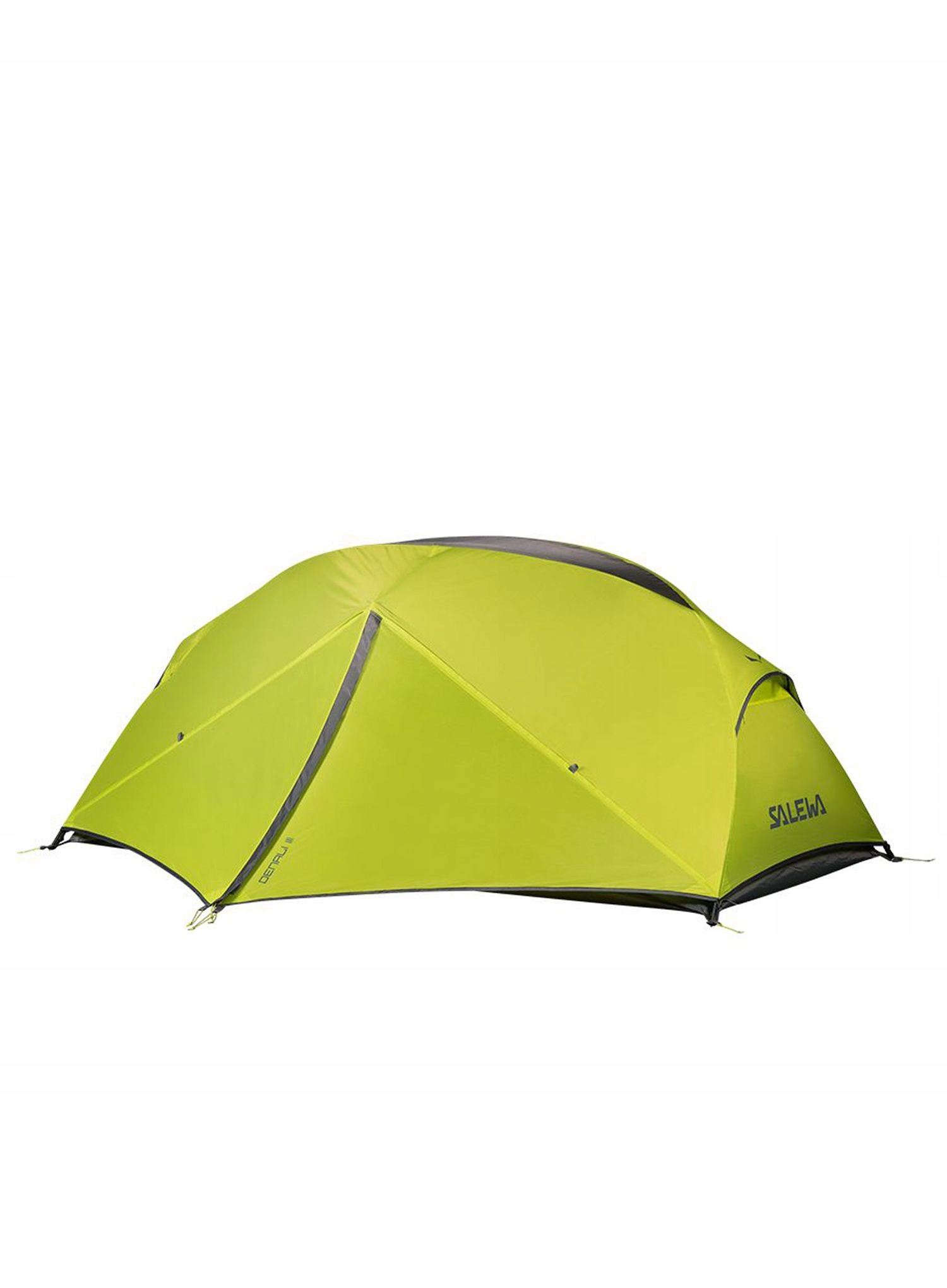 Stan stan Salewa Denali III cactus/šedý