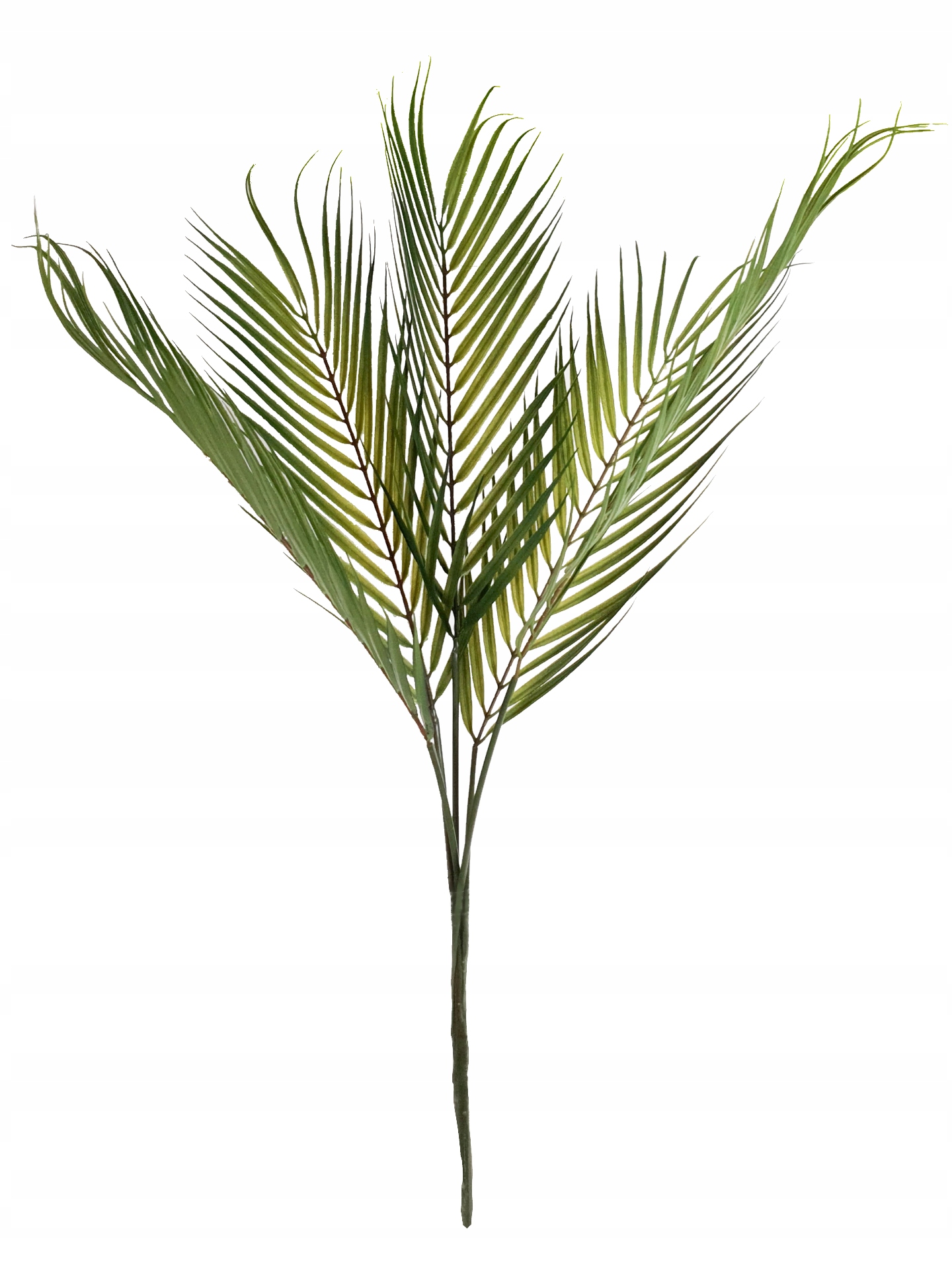 

Sztuczna Palma Liść Bukiet 5x Liście Palmowe