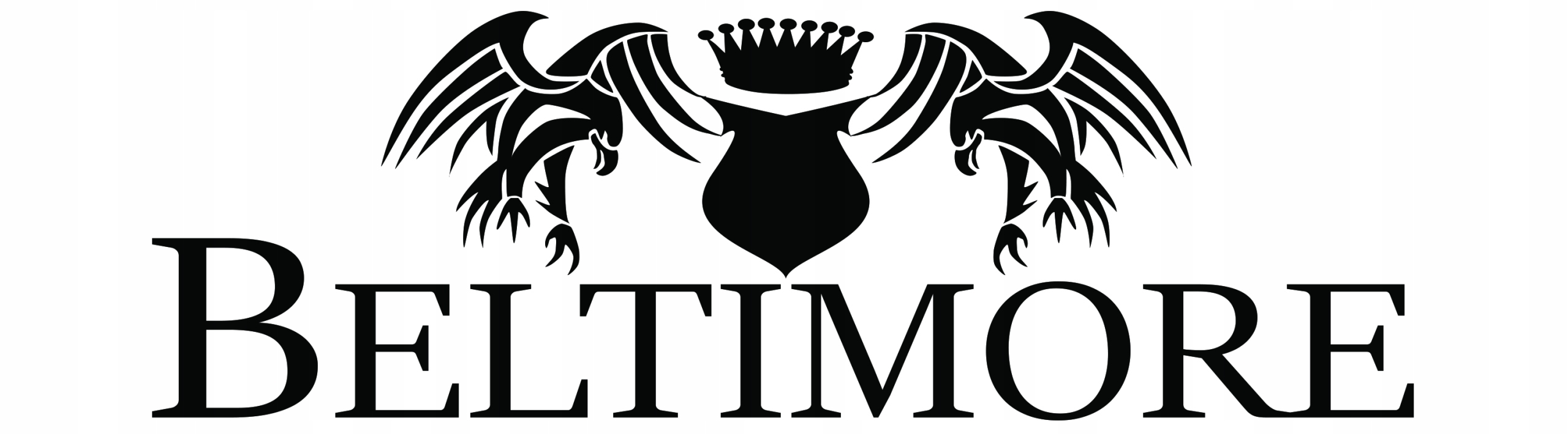 Biwuar aktówka teczka organizer neseser Beltimore Rodzaj aktówka