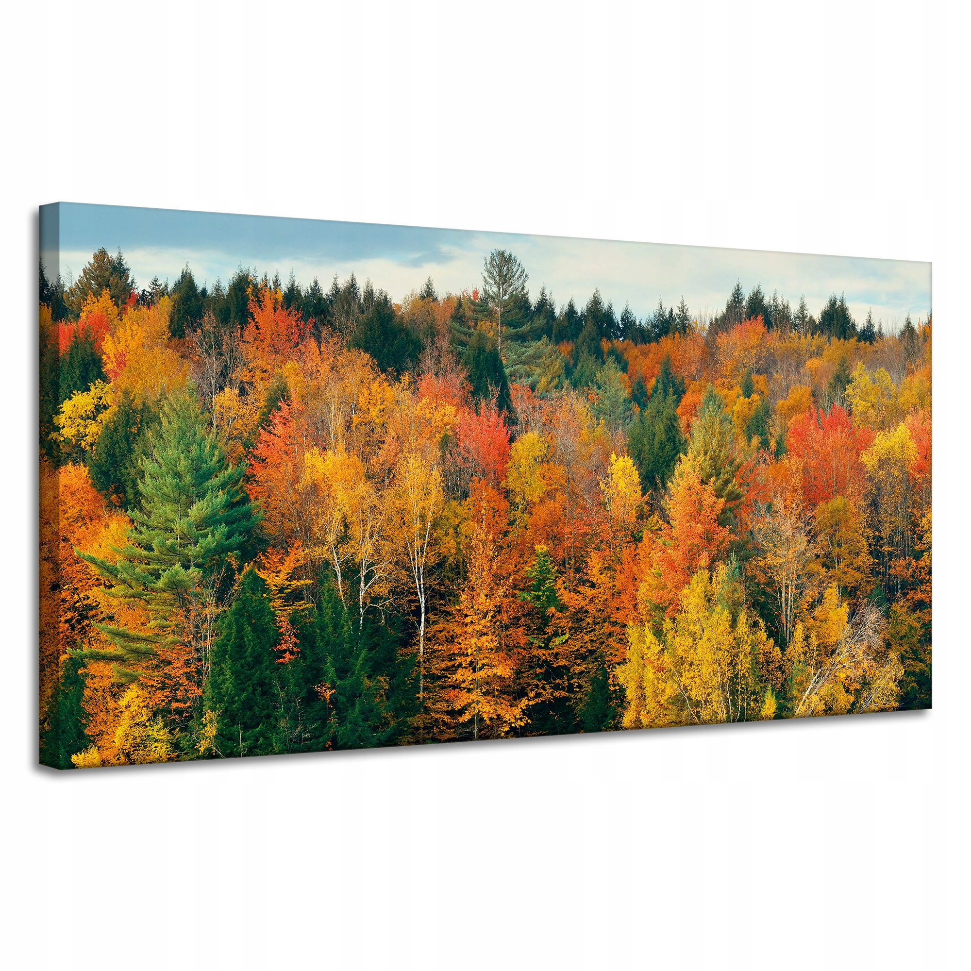 Obraz na plátně Barevné listy Stromy Podzim Příroda 120x60 cm