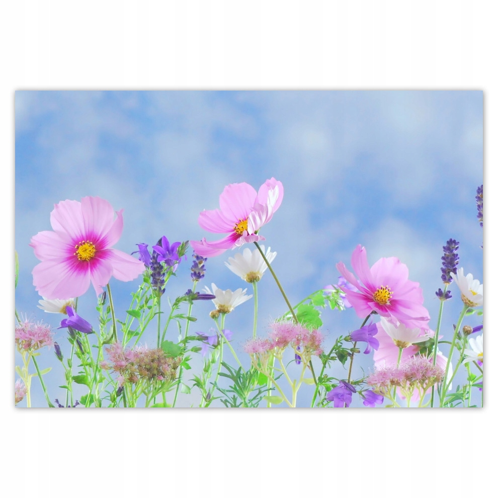 

Plakaty 185x125 Delikatne kwiatki