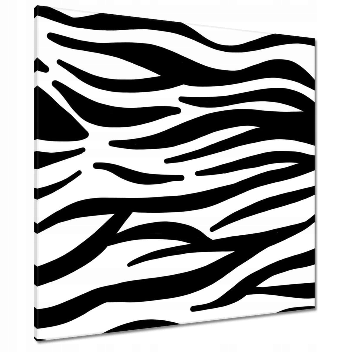 Obrazy 80x80 Zebra Pruhy