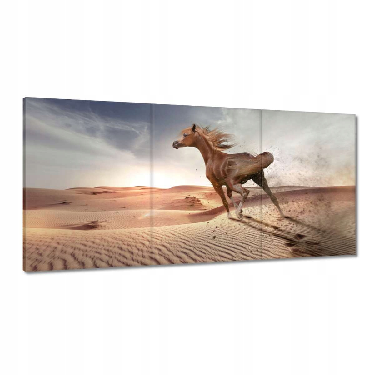 Obrazy 180x90 Kôň Kone Jazdenie