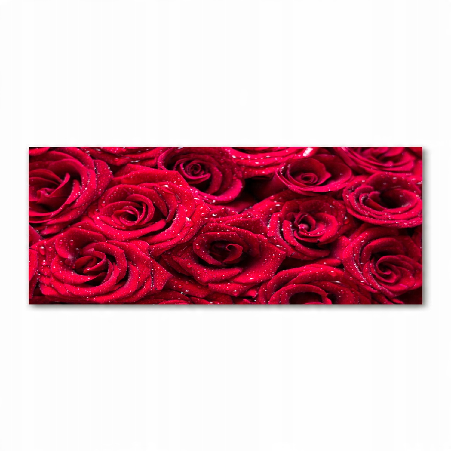 

Foto obraz szkło akryl Krople na różach 125x50 cm