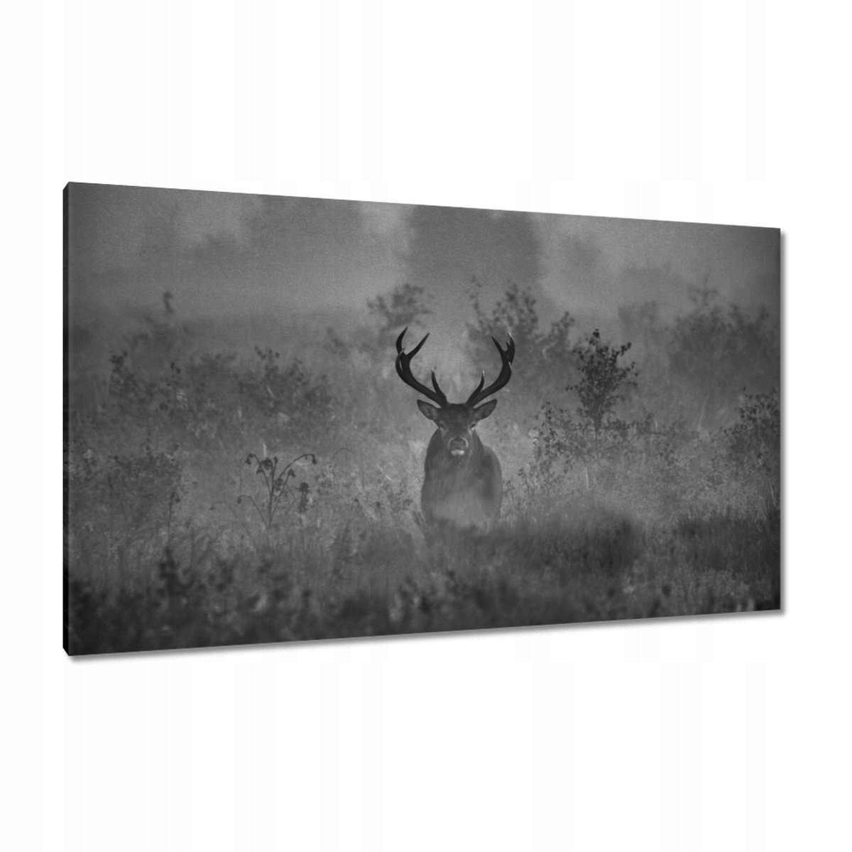 Obrazy 120x70 Jelen v mlze