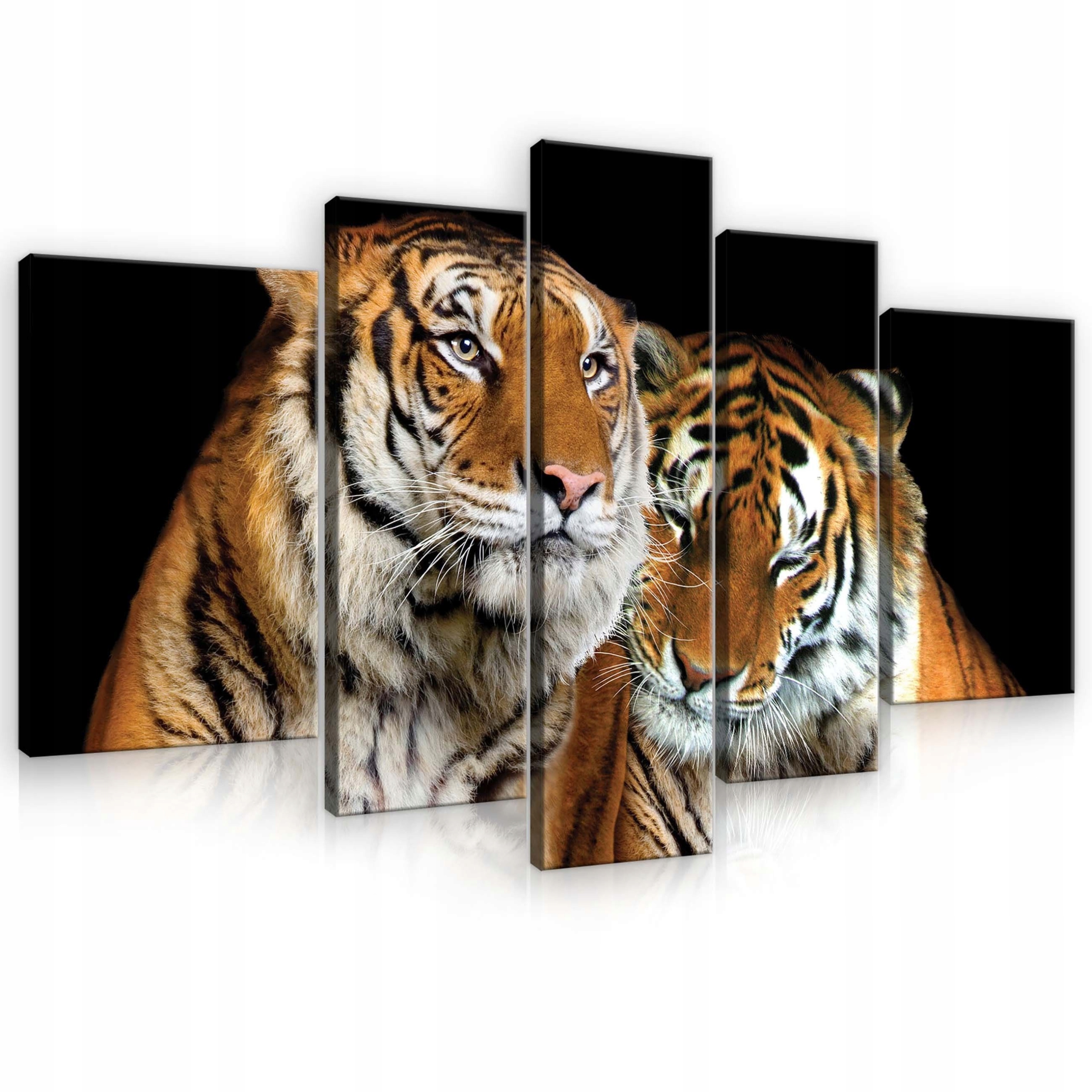 Obraz 170x100 Tigre pár divoká príroda majestátnosť grácia sila mačka