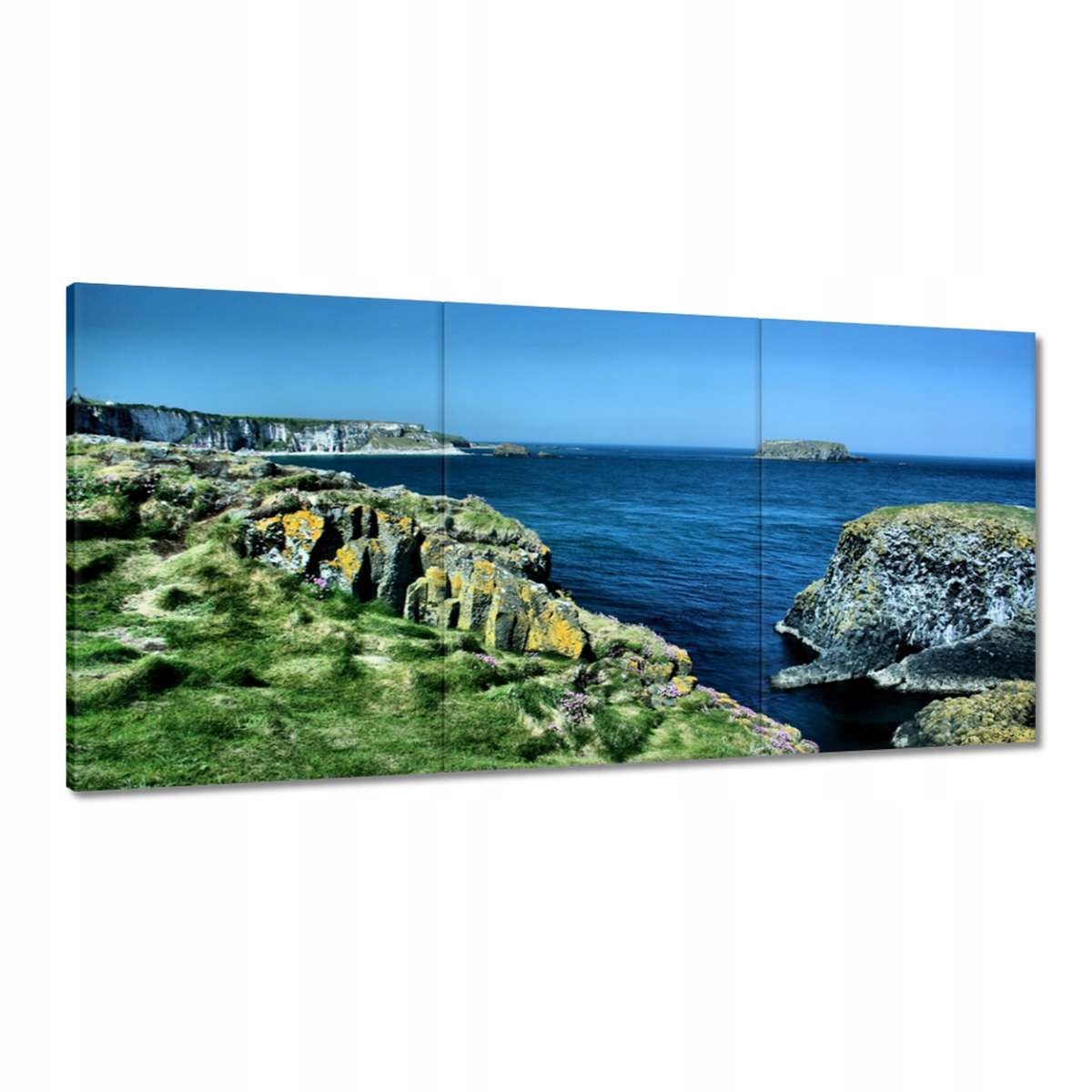 Obrazy 180x90 Carrick A Rede