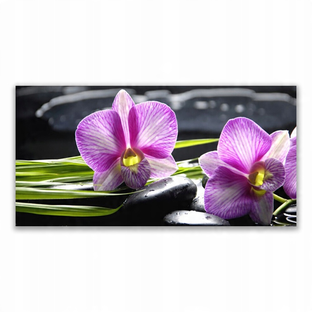 

Fotoobraz ścienny 140x70 Storczyk Kamienie Zen Spa