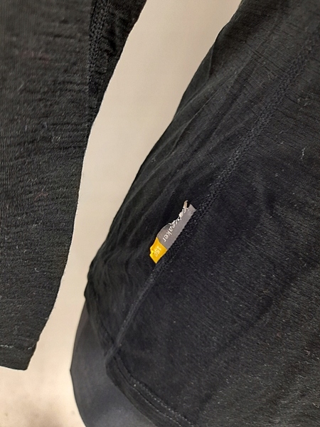 ICEBREAKER BODYFIT 150 MERINO LONG SLEEVE GRAPH L/XL Kod producenta 35153142