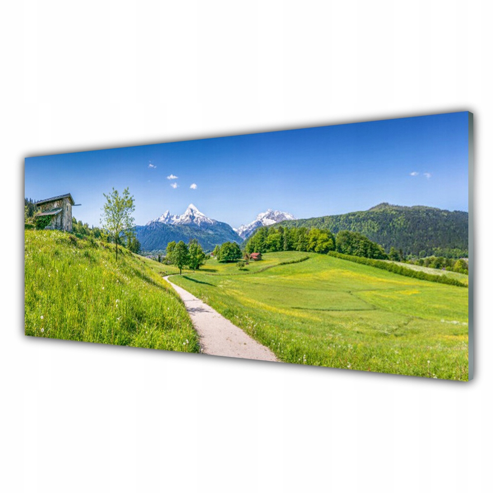 

Fotoobraz wiszący 125x50 Góry Łąka Ścieżka Dolina