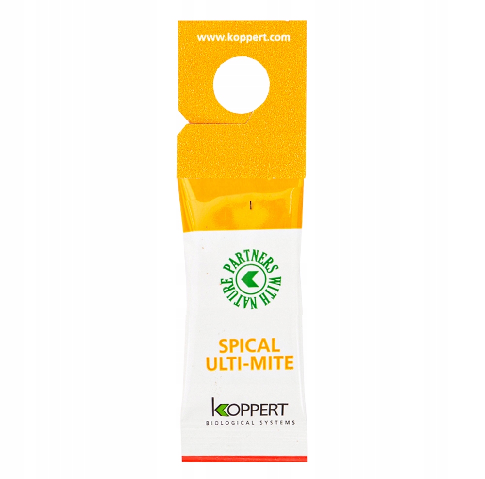 Spical Ulti-Mite 50x1 Koppert Dobroczynek Kalifornijski Zwalcza Przędziorki