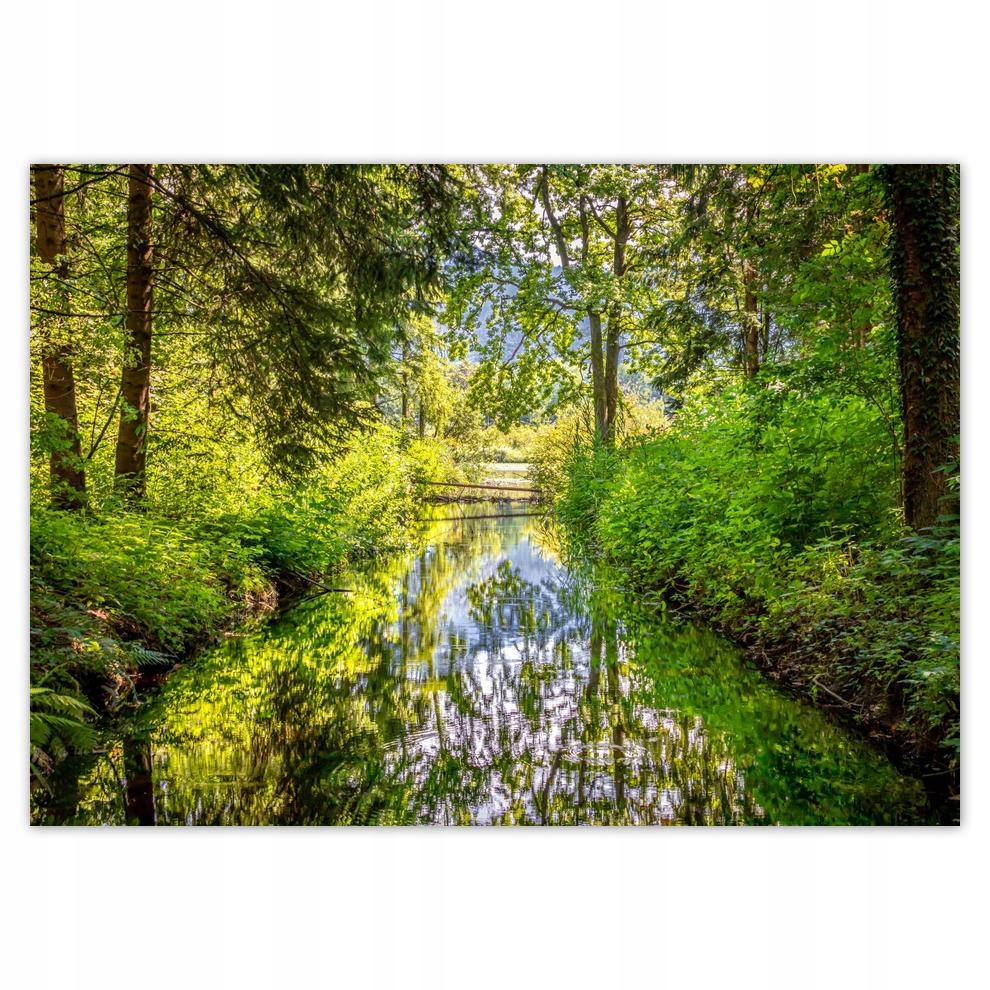 

Plakat 70x50 Rzeczka Piękna pogoda