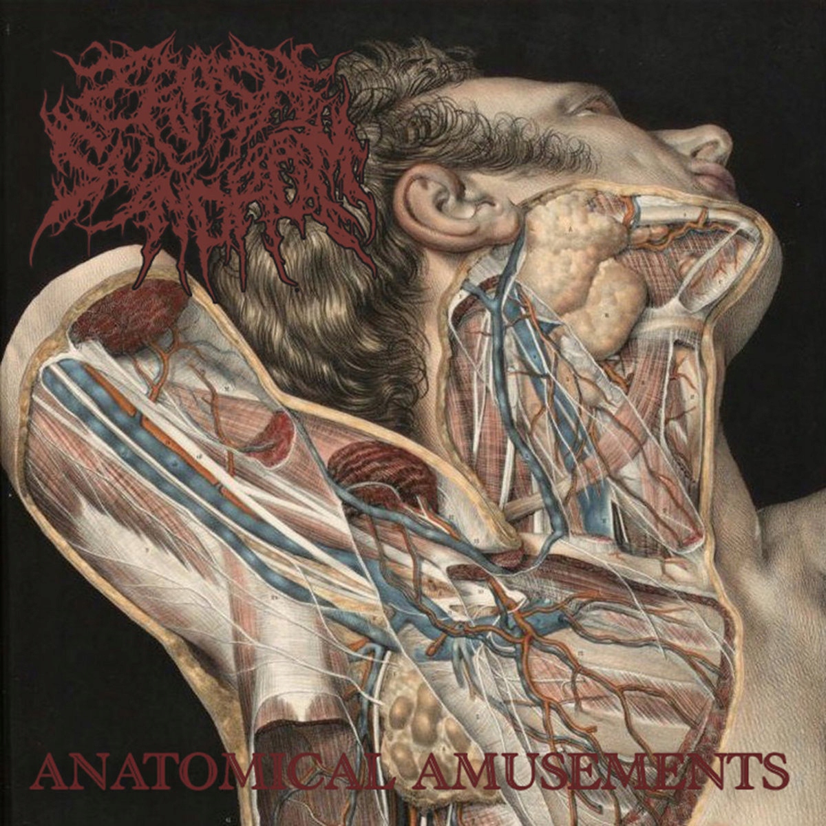 ｓｍｋ Unlimited&BURNOUT SYNDROMES CD a1342674560_5.jpg
