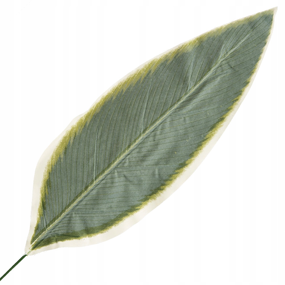 

Liść Ozdobny Liście Długie Dekoracja Na Stroik