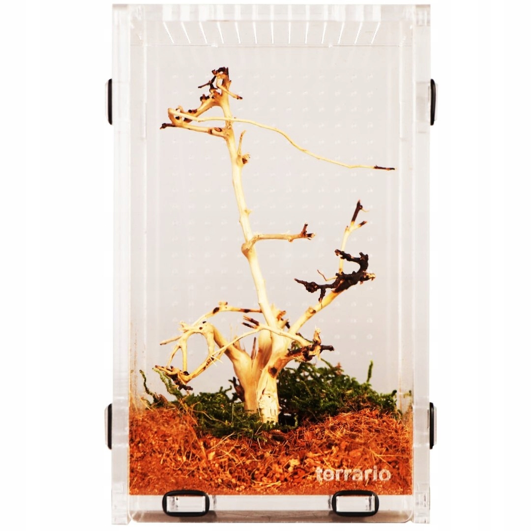 Levně Terrario Mantis Area L – akrylové terárium pro kudlanky a hmyz