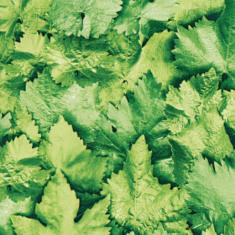 OKLEINA MEBLOWA SAMOPRZYLEPNA 45x50 LIŚCIE ZIELONA