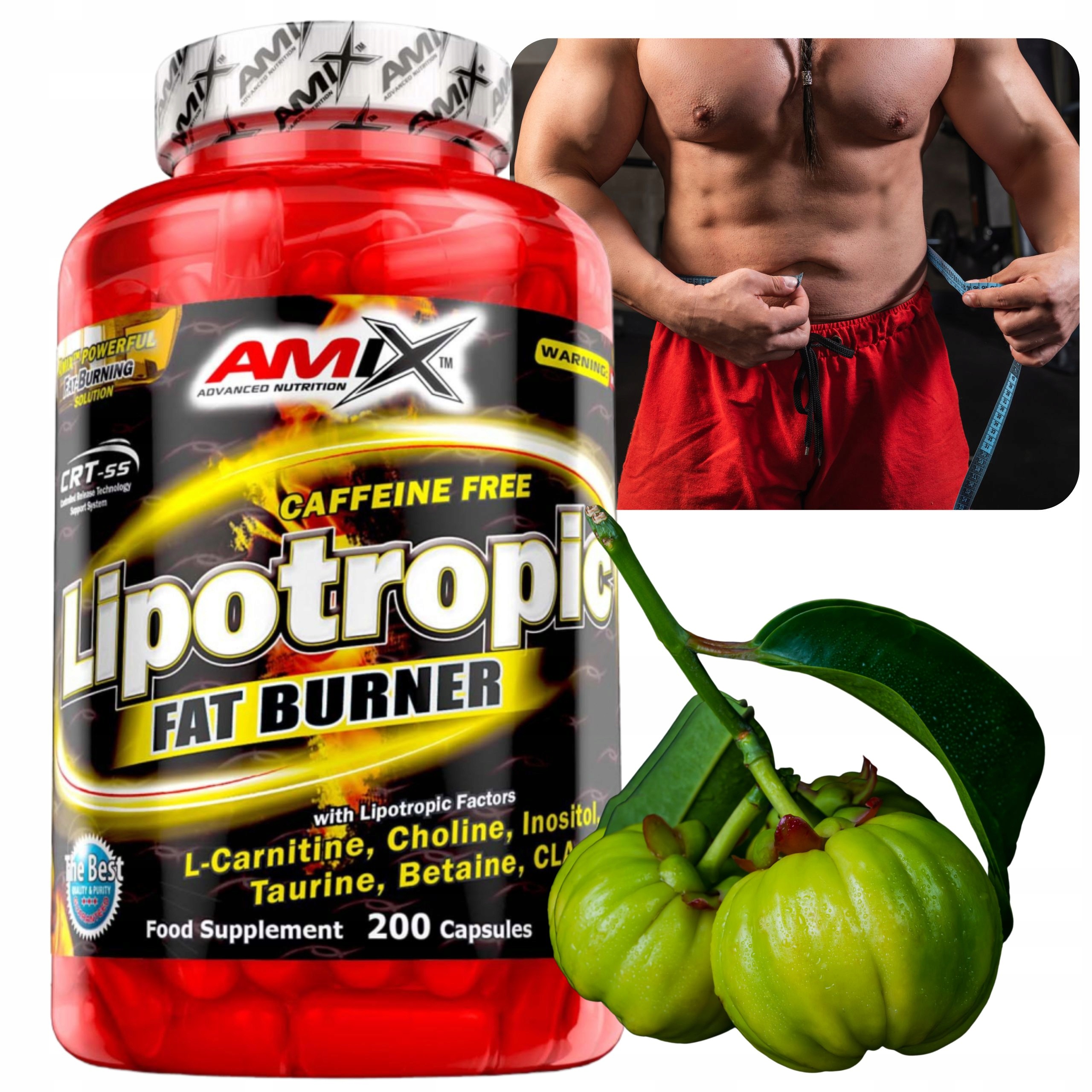 Spalovač Tuků Bez Kofeinu L Karnitin Hca Garcinia Cambogia Cla Cholina