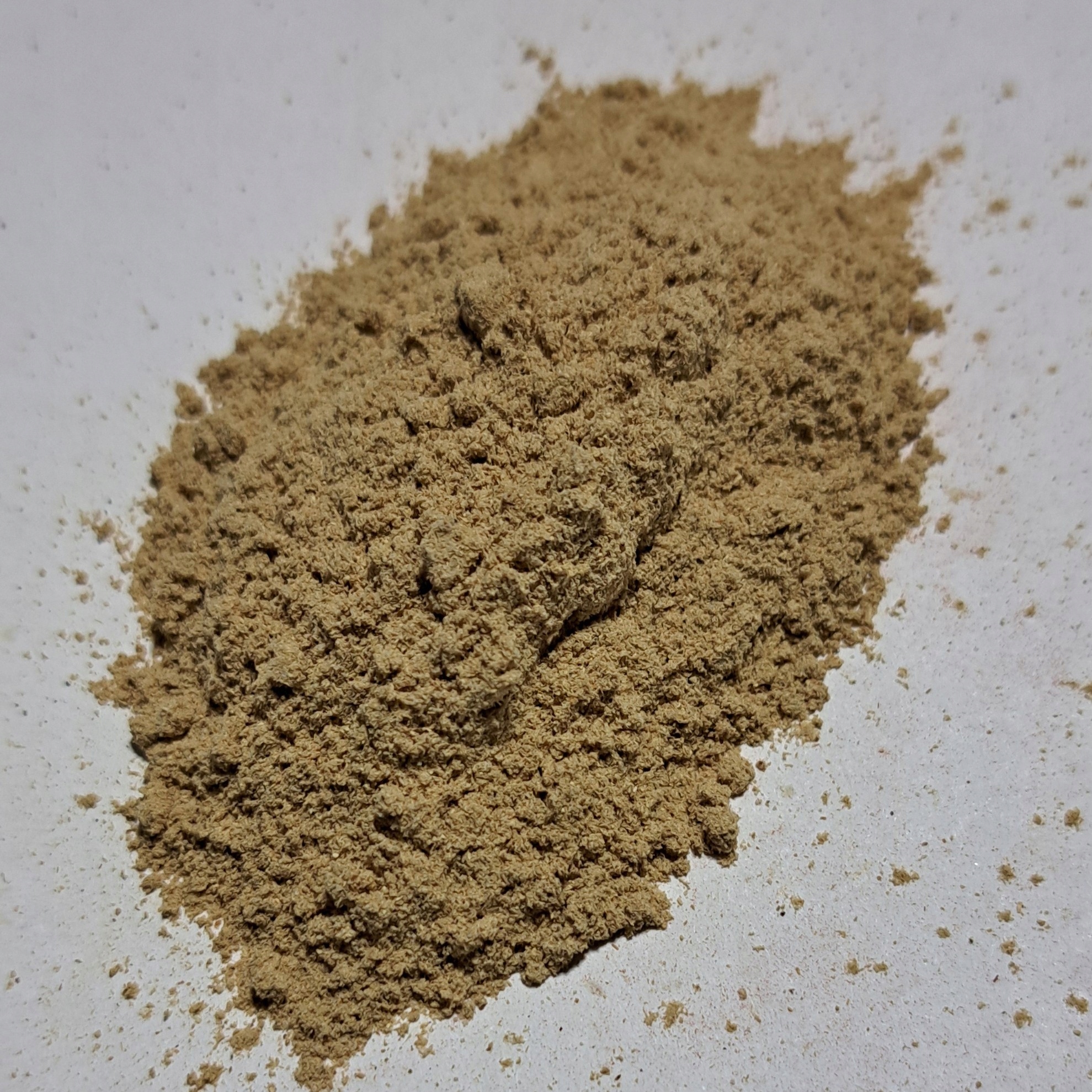 Levně Houby Maitake 1 kg Rafex