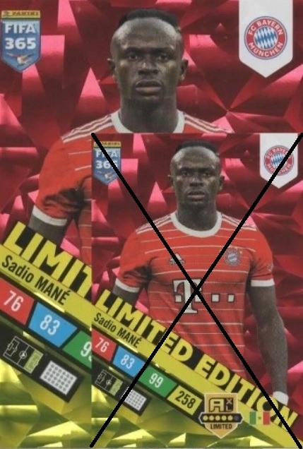 FIFA 365 2023 Limited XXL MANE